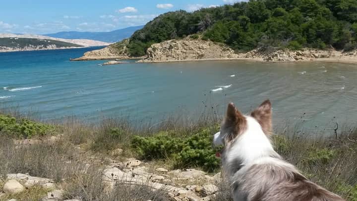 FB_IMG_1595887431257